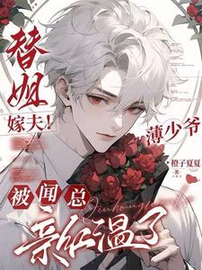 薄少圈宠替嫁前妻